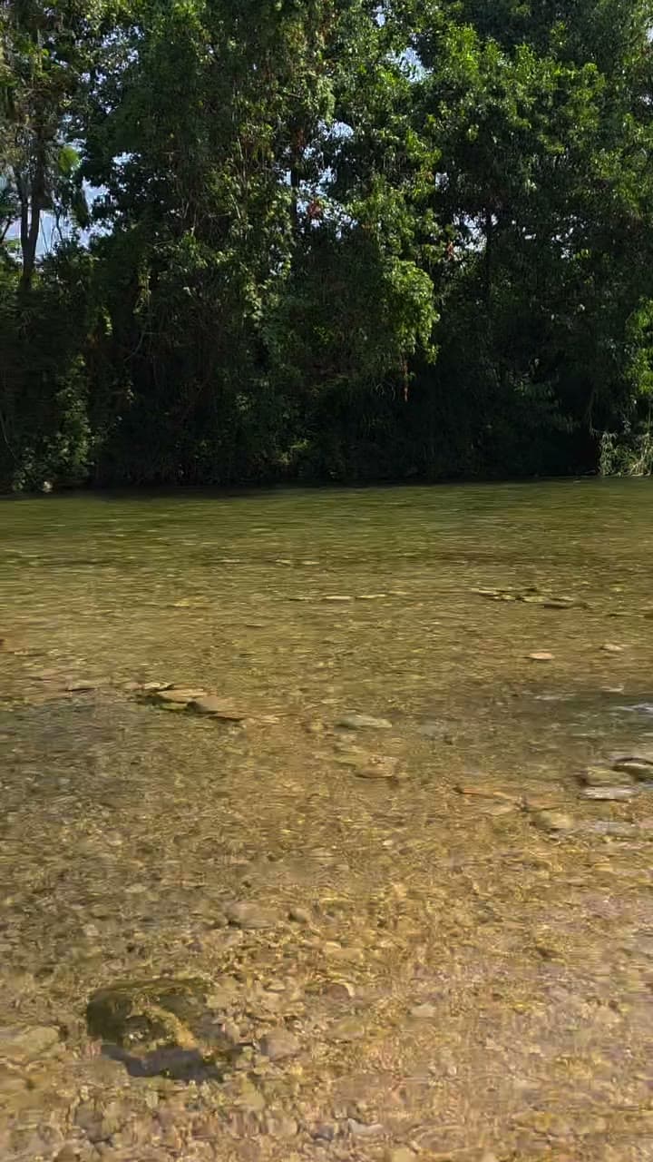 A real view of the green Awali River landscape near Sidon